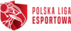 Polska Liga Esportowa S8 Grupa Profesjonalna