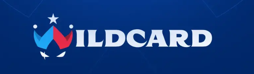 Vincent "vinS" Jozefiak has been named the new Wildcard coach for the  CS2  lineup