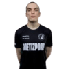 Plopski