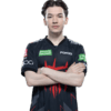 zorte