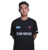 TASMAN