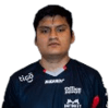 TORITO