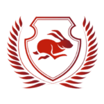 team b logo