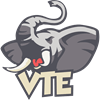 VTE