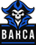 team a logo