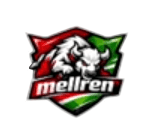 team b logo