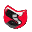 team b logo