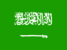 Team Saudi Arabia