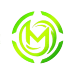 team b logo