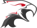 DS