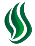 Spirit Esports
