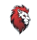 team a logo