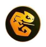 team a logo