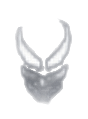 VENOM ESPOR