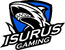 Isurus Gaming