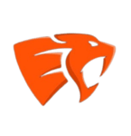 team a logo