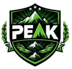PEAK AGENCY