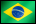 Team Brazil