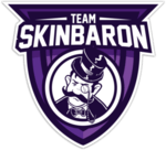 Skinbaron. Team Skinbaron. Skinbaron Steam profile. Skinbaron logo.