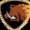 Reign Boars