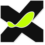 QuantumX