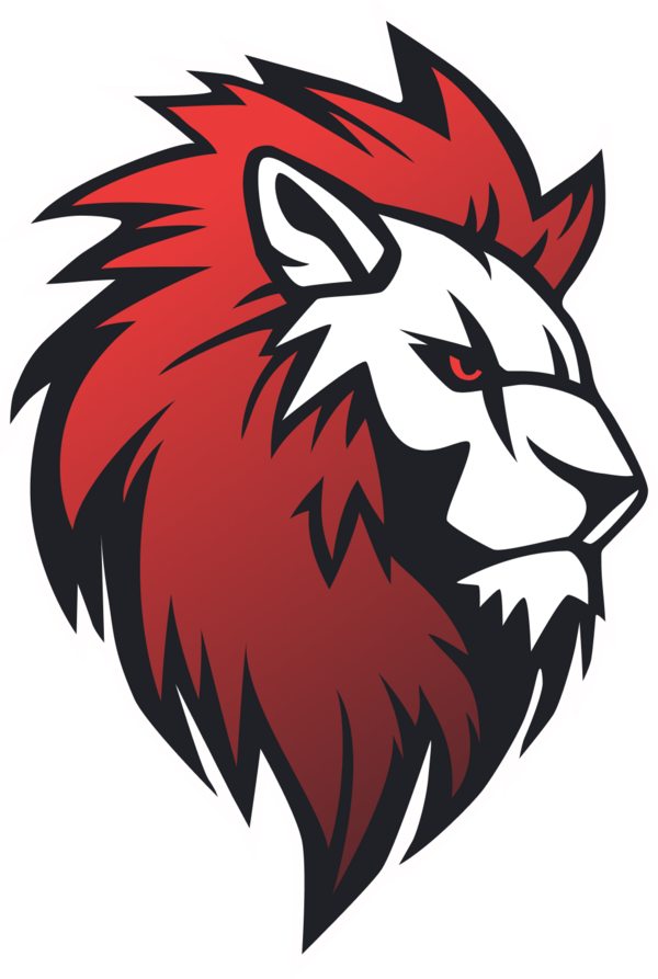 team a logo