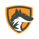 Team DeftFox