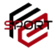 FIN E-SPORT