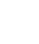 FALKN