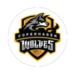 team a logo