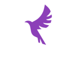 Ravens