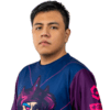 Player Logo