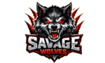 team b logo