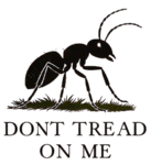 the bug