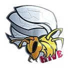 team a logo