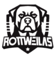 team b logo
