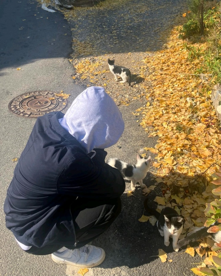  T1 . Oner player updates ins status: Champion jungler and kitten