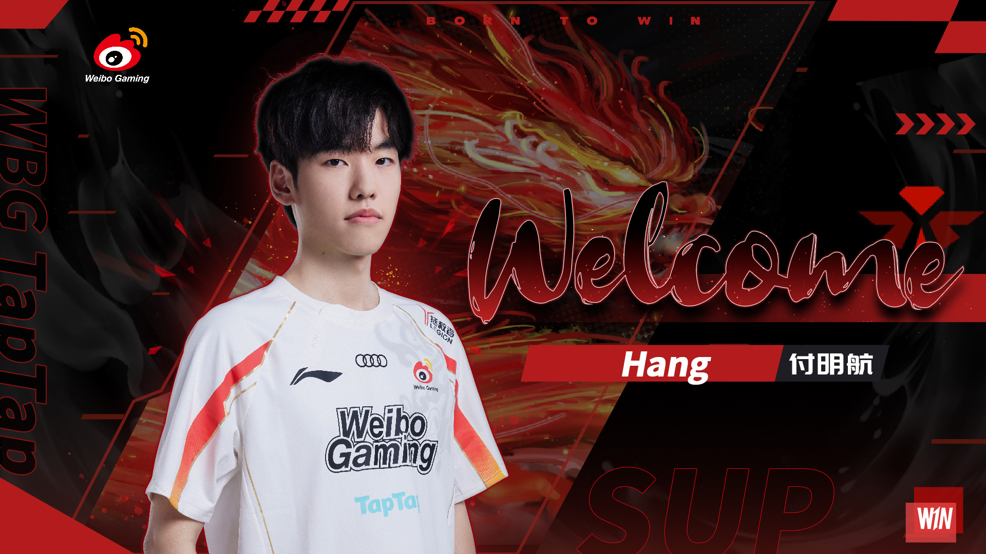  Weibo Gaming  官方公告：前  LNG Esports  輔助選手  Hang  加入團隊