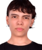 L1