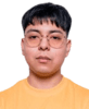 Steellar