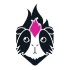team b logo