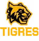 SDM Tigres Academy