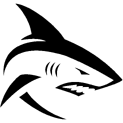 team b logo