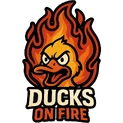 Ducks on Fire