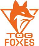 TeamOrangeGaming