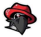 team a logo