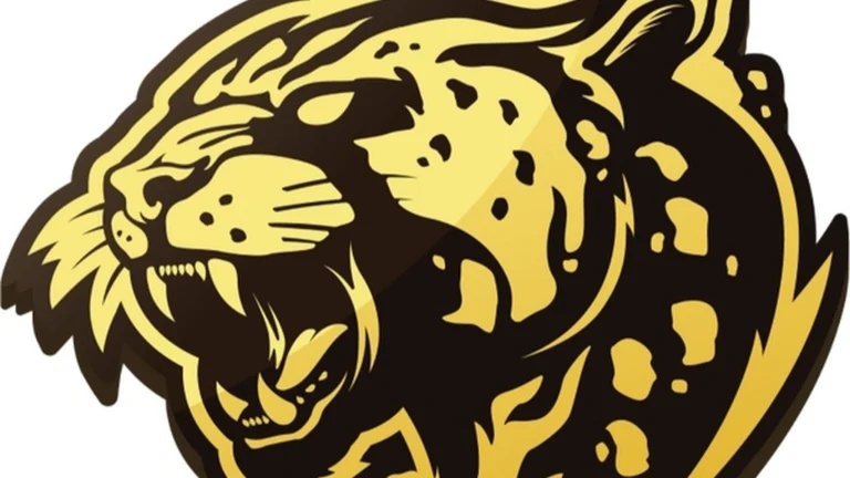 Bushido Wildcats 被邀请参加 BETBOOM Rise of Legends Season 11