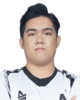 Player Logo