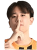 Player Logo