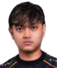 Player Logo